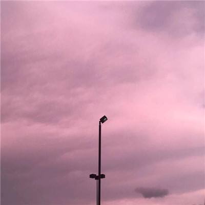 万博·体育手机app下载